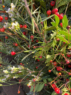 Berry Christmas - Festive Wreath