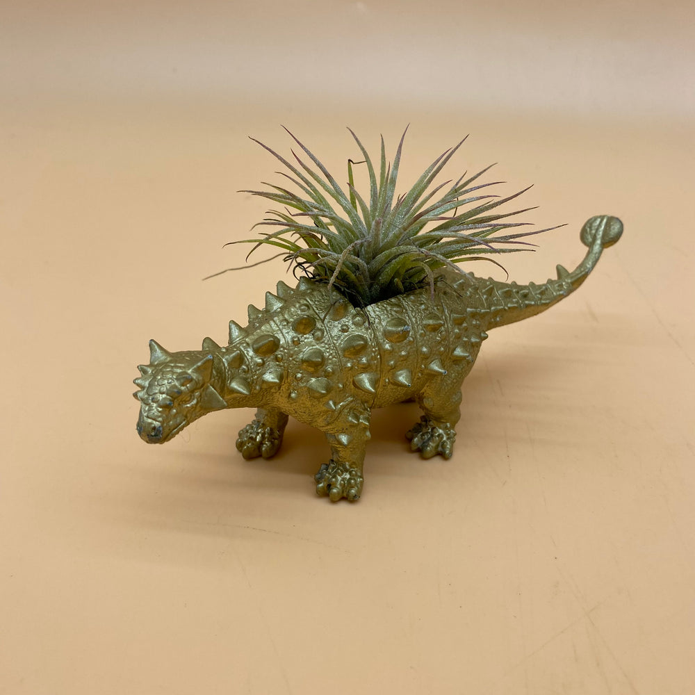 Dinosaur Airplant Pot