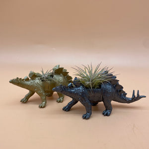 Dinosaur Airplant Pot