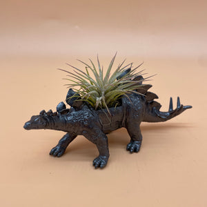 Dinosaur Airplant Pot