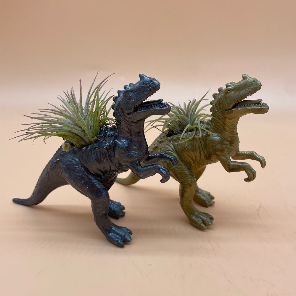 Dinosaur Airplant Pot