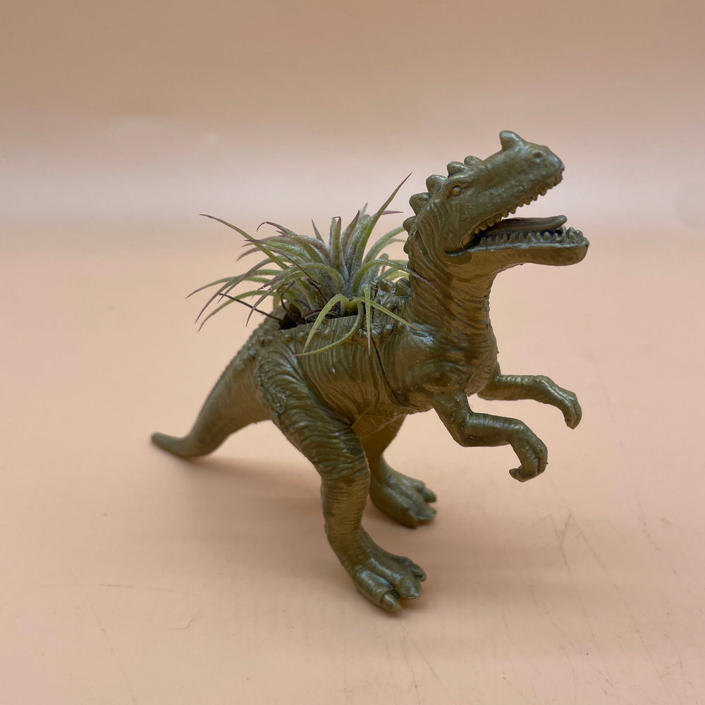 Dinosaur Airplant Pot