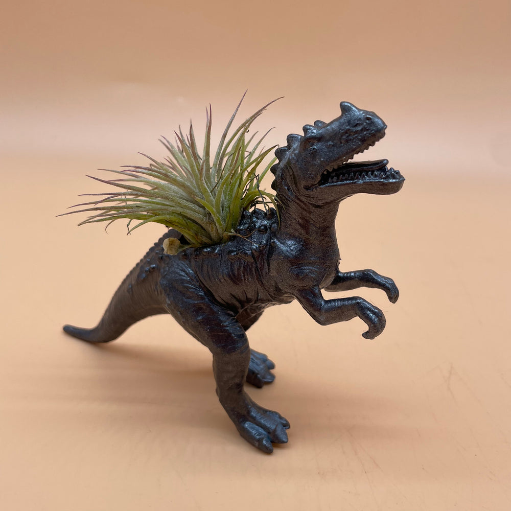 Dinosaur Airplant Pot