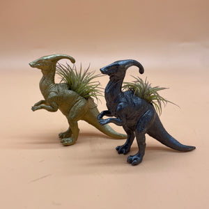 Dinosaur Airplant Pot