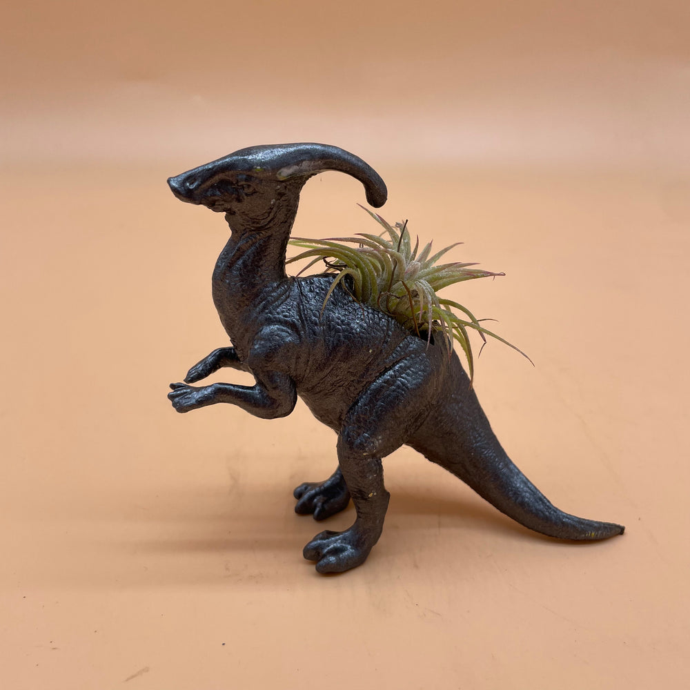 Dinosaur Airplant Pot