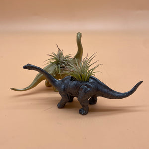 Dinosaur Airplant Pot