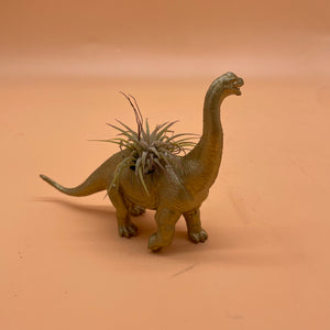 Dinosaur Airplant Pot