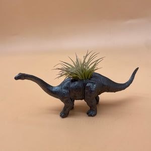 Dinosaur Airplant Pot