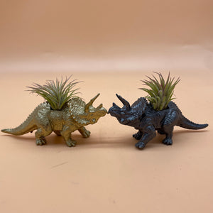 Dinosaur Airplant Pot