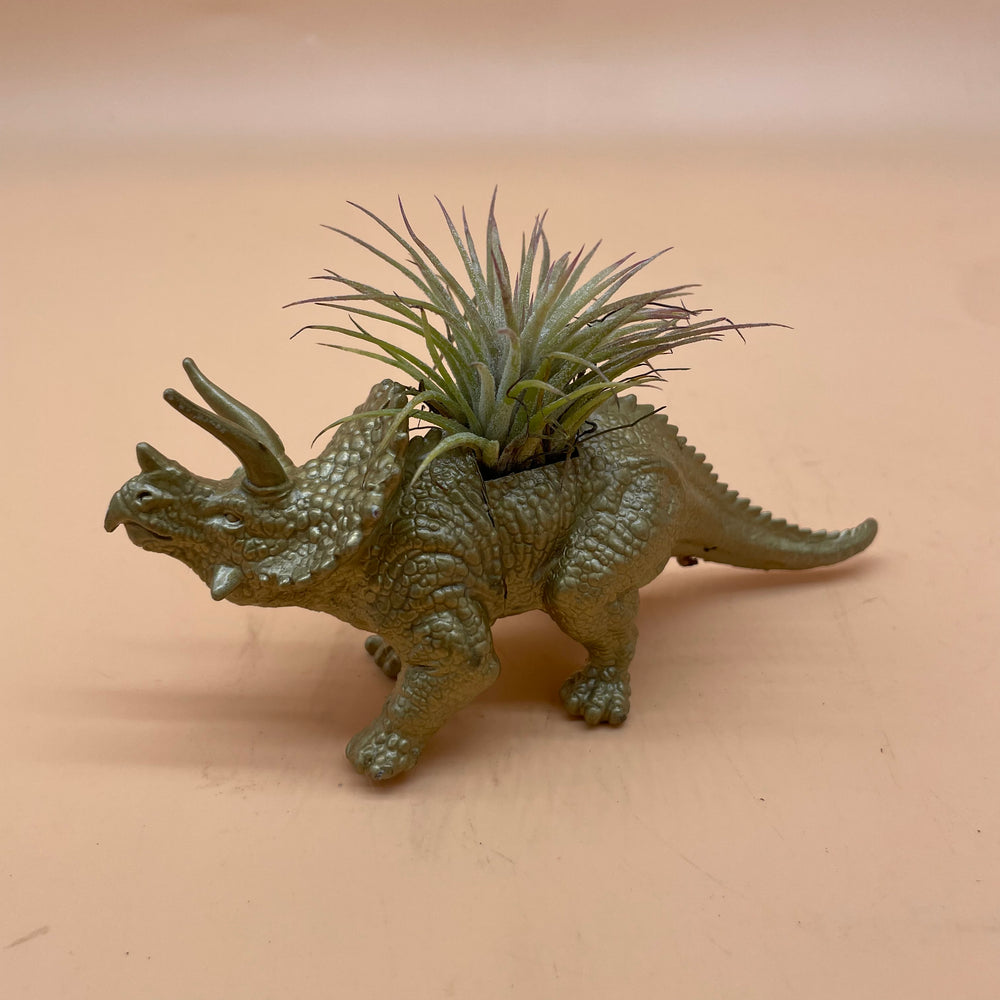 Dinosaur Airplant Pot