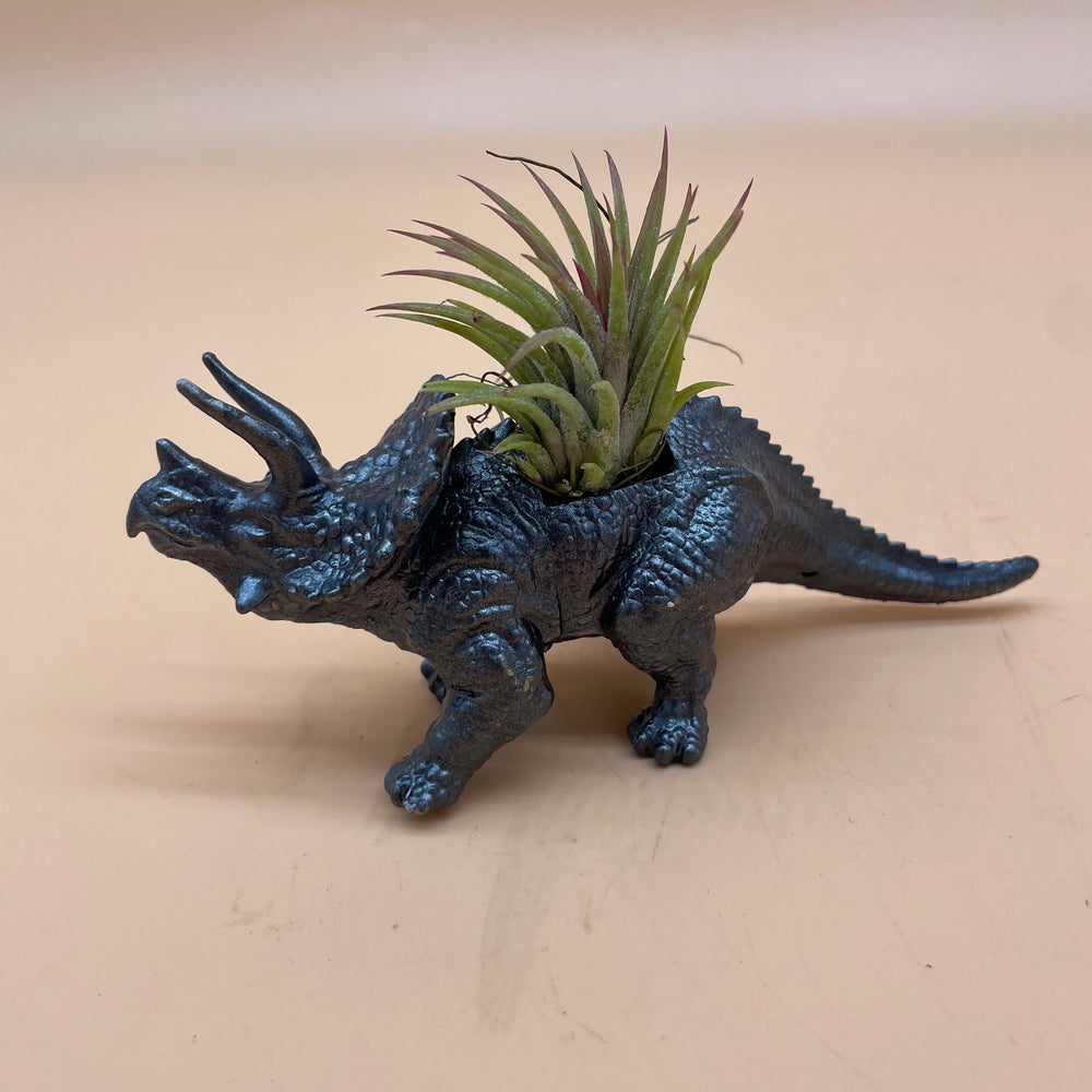 Dinosaur Airplant Pot