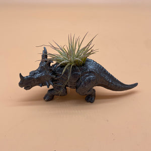 Dinosaur Airplant Pot