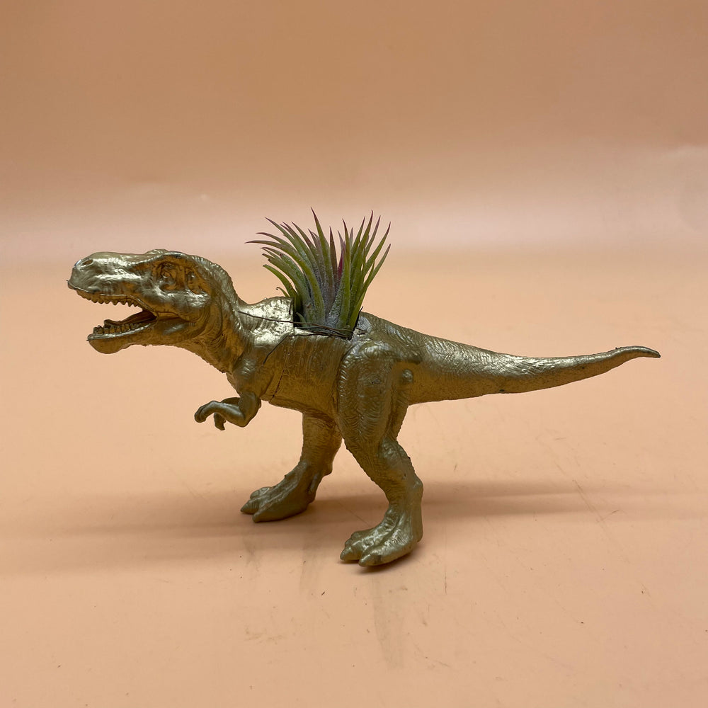 Dinosaur Airplant Pot