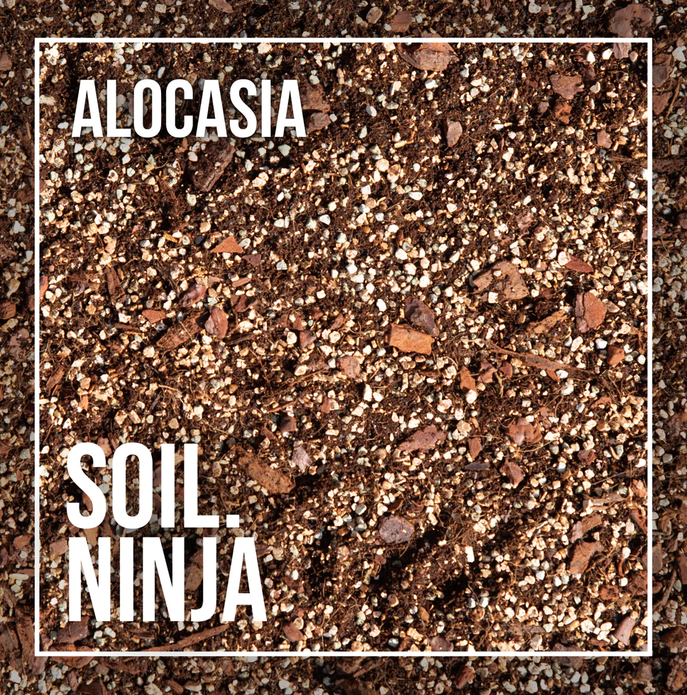 SOIL NINJA - Alocasia Premium Houseplant Blend - 2.5L, 5L