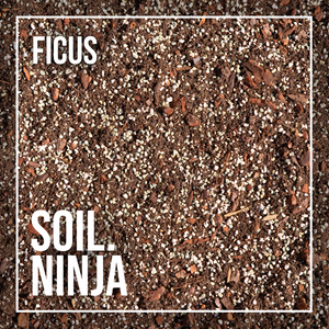 SOIL NINJA - Premium Ficus Blend
