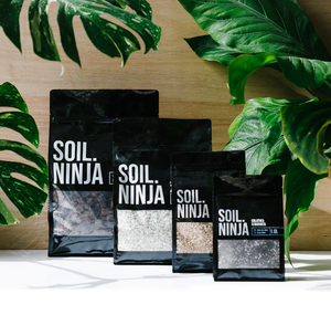 SOIL NINJA - Premium Fern Blend