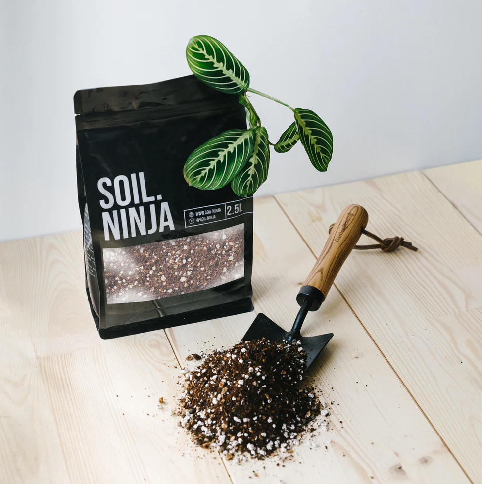 SOIL NINJA - Premium Calathea & Maranta Blend