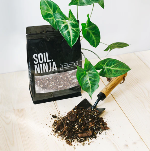 SOIL NINJA - Premium Syngonium Blend