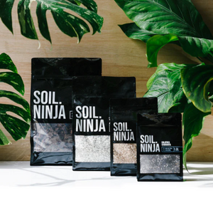 SOIL NINJA - Premium Syngonium Blend
