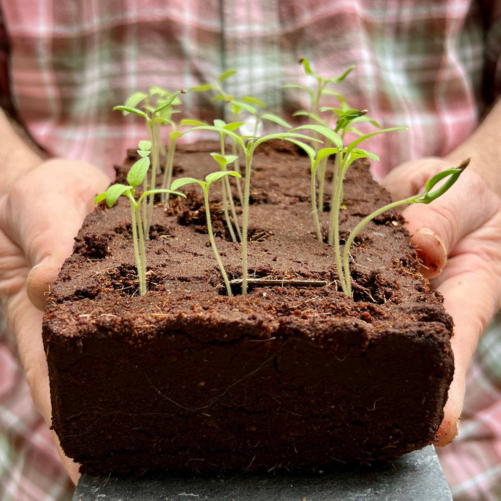 The Weird Veg Growbar