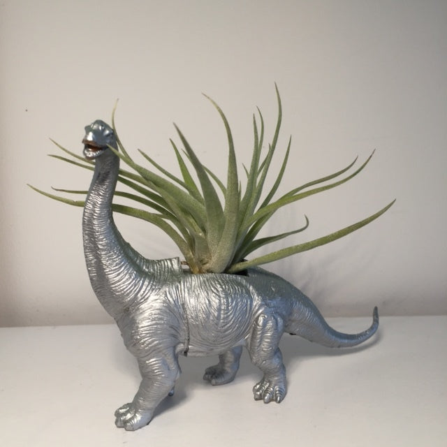 Dinosaur Airplant Pot