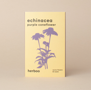 Herboo - Echinacea 'Purpurea' Seeds