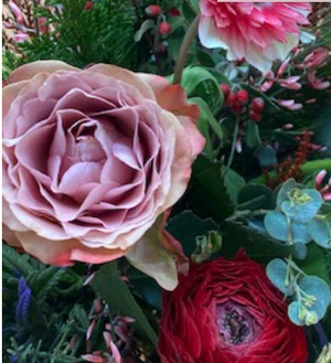 BLOOM BOUQUET - SEASONAL FLOWERS FROM EDIE ROSE